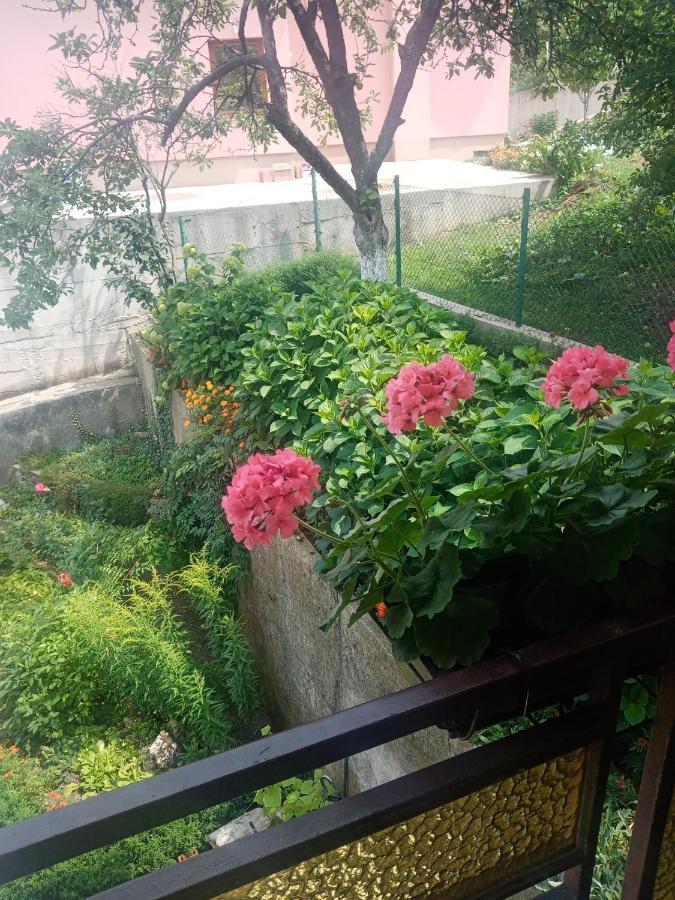 Azra Apartamento Visoko Exterior foto